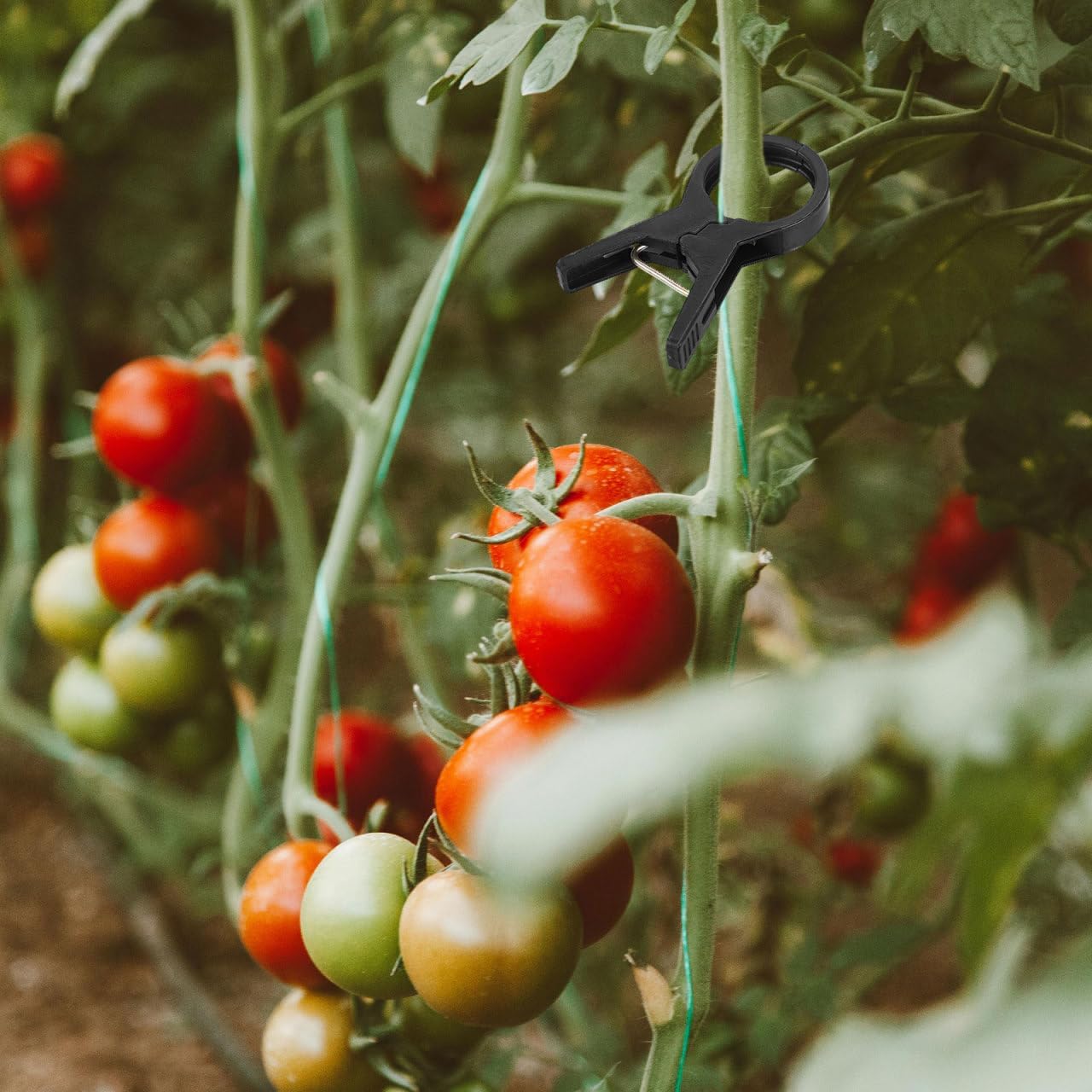 BESPORTBLE Tie the Vine Clip 100Pcs Black Plastic Garden Clips for Tomato and Cucumber Support Durable Plant Ties for