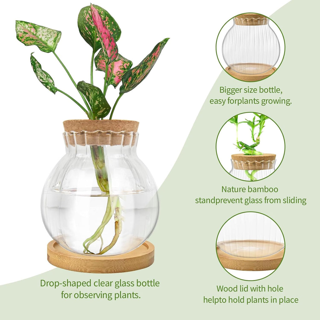 Plant Propagation Station, Water Planting for Plants with Tray & Wooden Saucer, Hydroponics Plants Jars Home Office