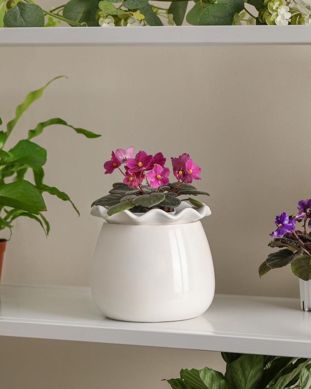 Fayoula Self Watering Plant Pot, 6 Inch African Violet Pots Maintenance, Ceramic Self-Watering Planter for Indoor
