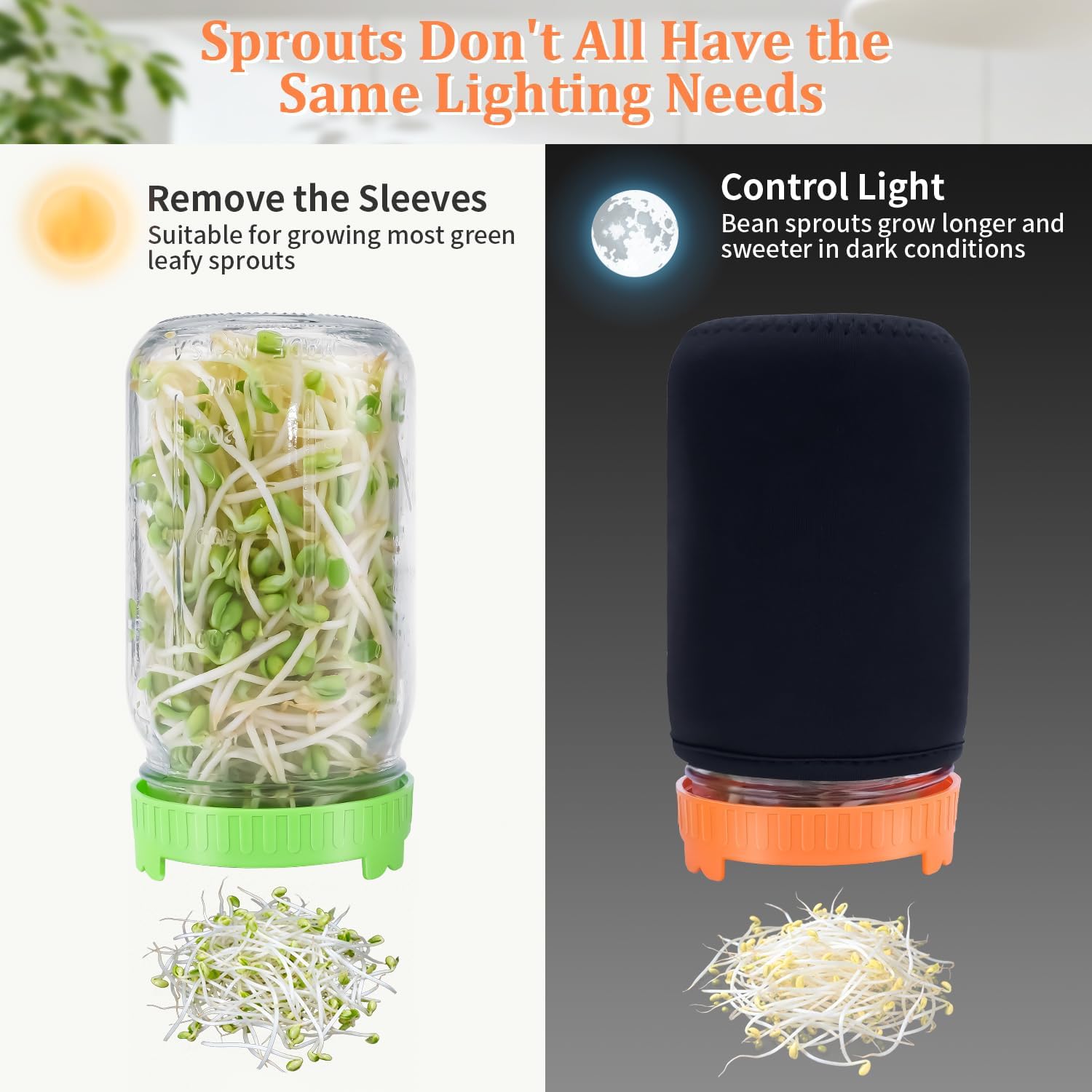 Seed Sprouting Kit with Mung Beans 80g, 2 Large Wide Mouth Mason Jars with Sprout Lids, Blackout Sleeves, Drain Tray