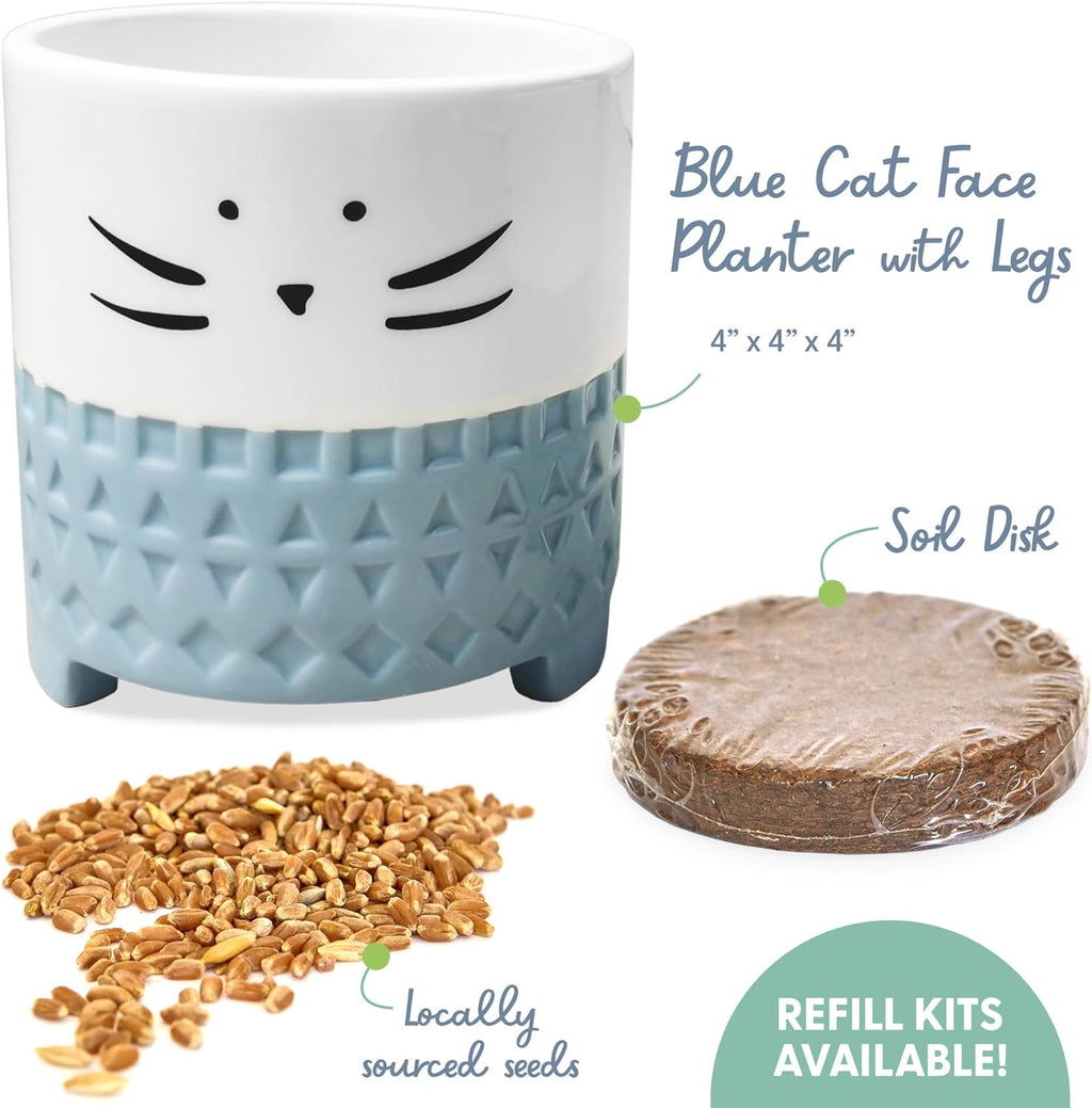 The Cat Ladies Cat Grass for Indoor Cats, Cat Grass Growing Kit with Organic Cat Grass Seed Mix, Soil and Ceramic Cat