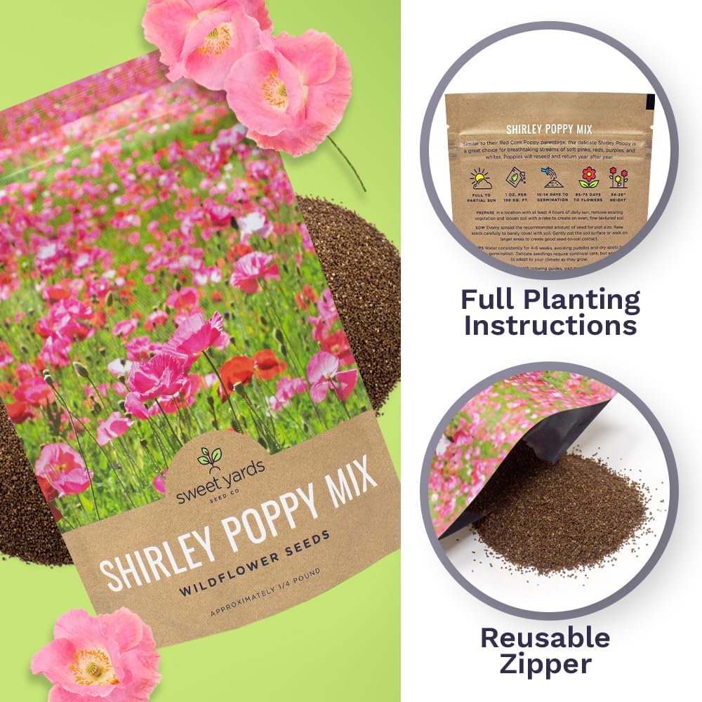Shirley Poppy Seeds – Mixed Colors – Bulk Quarter Pound Bag – Over 800,000 Open Pollinated Non-GMO Wildflower Seeds –