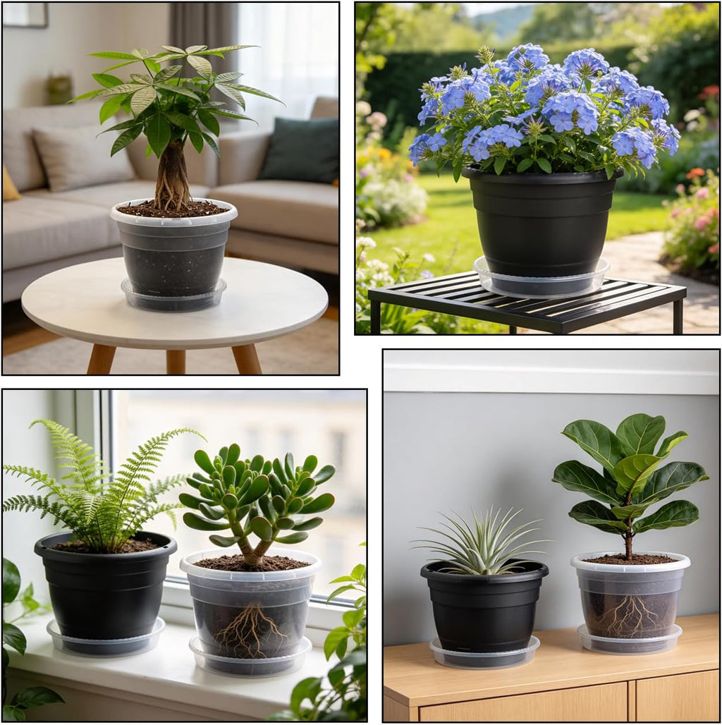 RooTrimmer 8 Inch Clear Nursery Pots with Drainage Holes and Clear Saucers,Transparent Flower Planters for Indoor