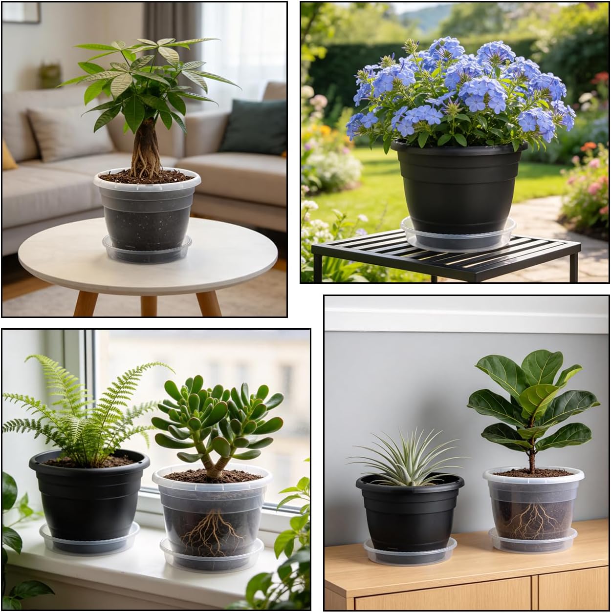 RooTrimmer 8 Inch Clear Nursery Pots with Drainage Holes and Clear Saucers,Transparent Flower Planters for Indoor