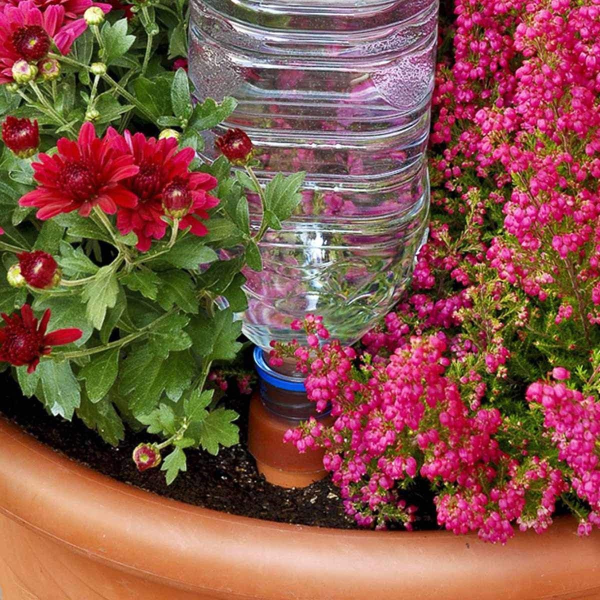Blumat Plant Watering Device - Easy XL Self Watering Planter Insert for Indoor Plants - Bottle Adapter - Prevents