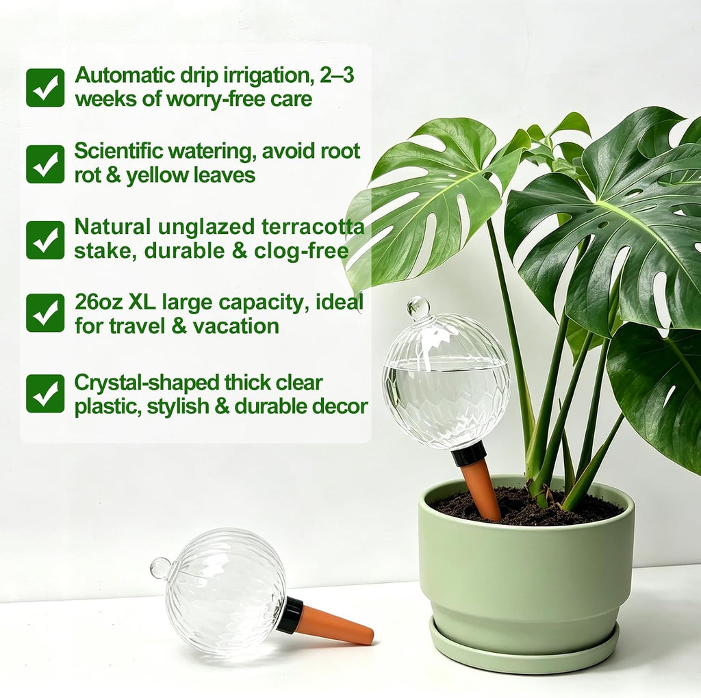 26oz Extra Large Self Watering Globes, Plant Watering Globes, Water Globes, Plant Water Bulbs, Watering Bulbs for