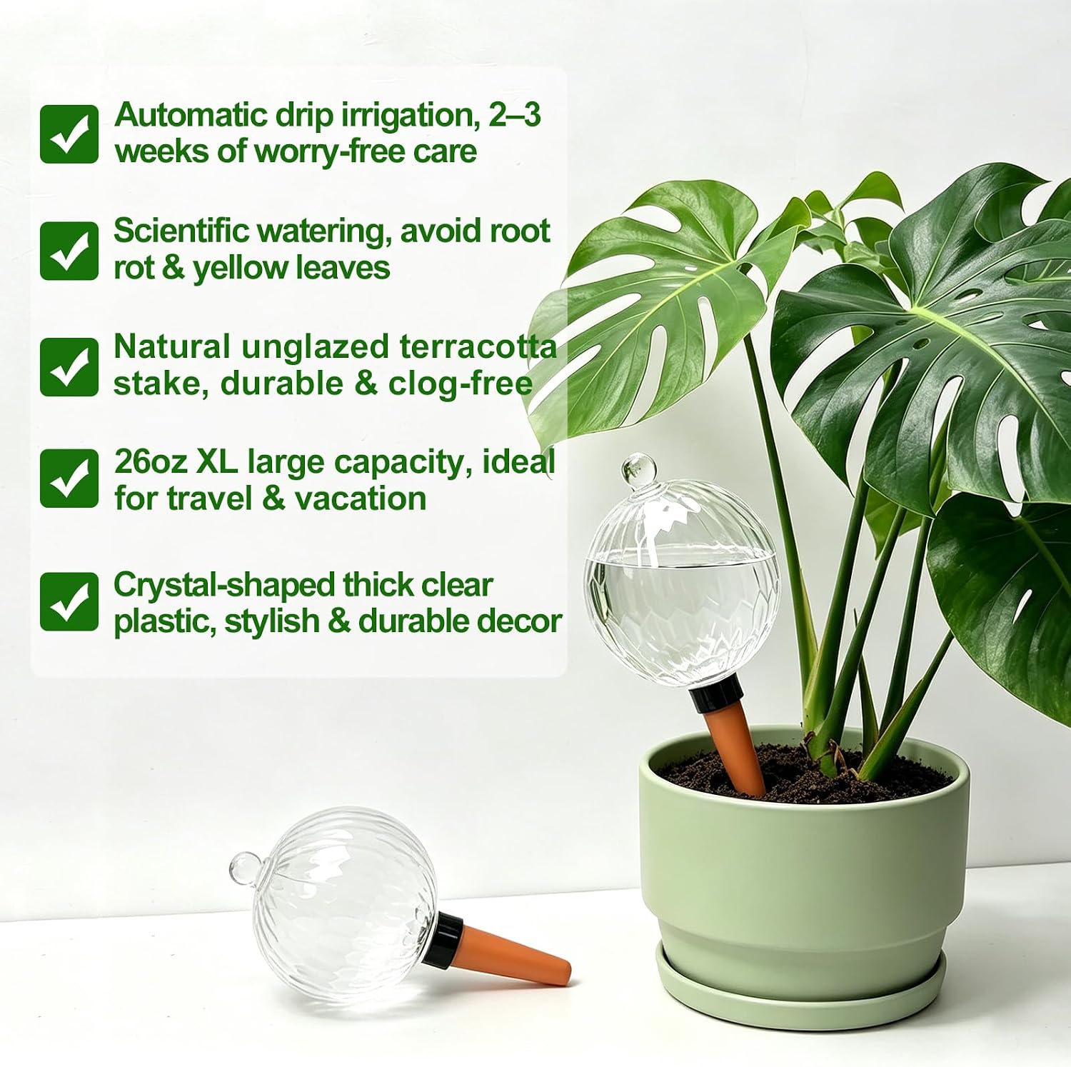 26oz Extra Large Self Watering Globes, Plant Watering Globes, Water Globes, Plant Water Bulbs, Watering Bulbs for