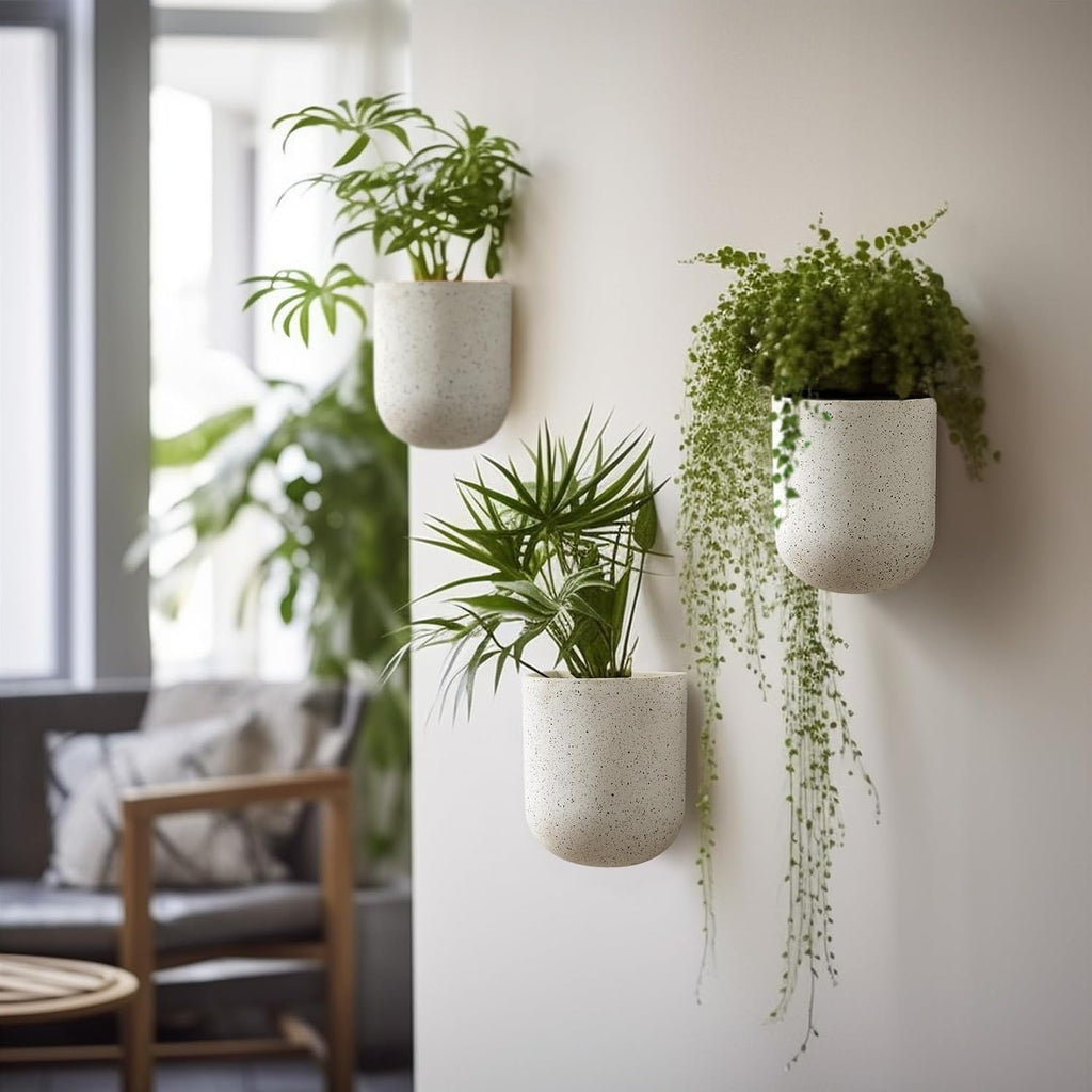 LA Jolie Muse Wall Hanging Planters for Indoor Plants，Hanging Flower Pots for Air Plants Succulent, Set of 2