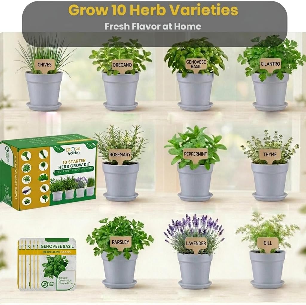 47 PCS Herb Garden Seeds Starter Kit, 10 Non-GMO Culinary Herb Seeds with White Pots & Planters for Windowsill, Herb