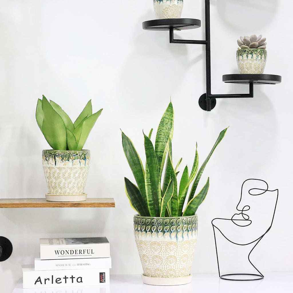 Ceramic Planter Pots for Indoor Plants, 8Inch + 6 Inch Plant Pot with Drainage Holes, Saucers and Mesh Pads, Succulent