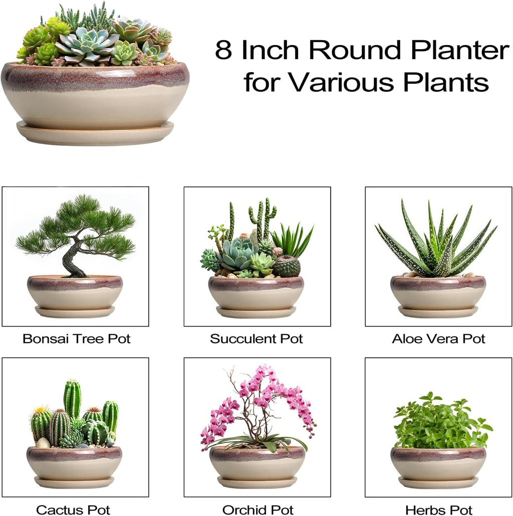 SQOWL Succulent Pots 8 Inch - Ceramic Bonsai Pots for Indoor Plants, Round Shallow Plant Pot with Drainage Hole and