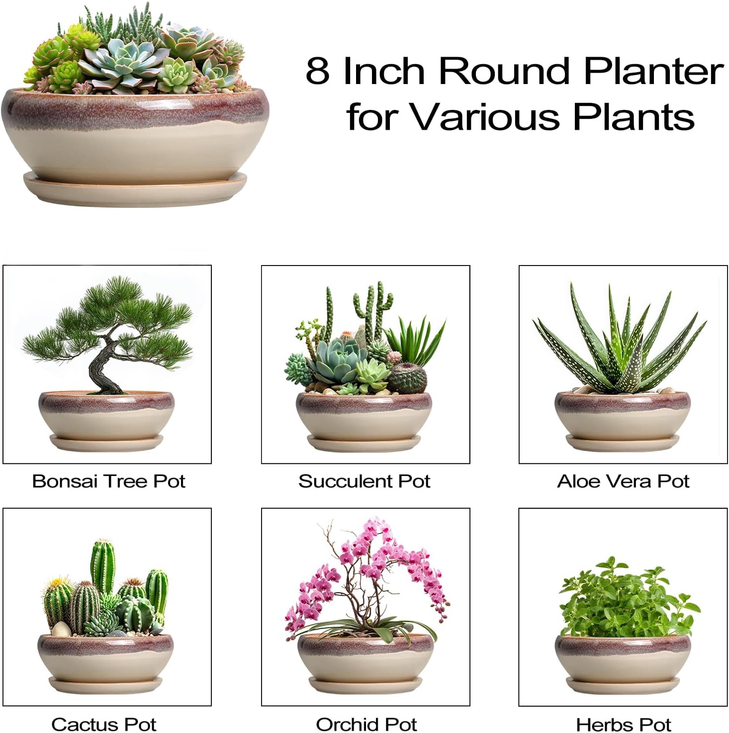 SQOWL Succulent Pots 8 Inch - Ceramic Bonsai Pots for Indoor Plants, Round Shallow Plant Pot with Drainage Hole and