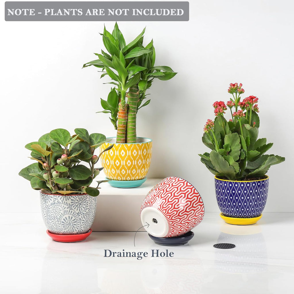 Selamica Ceramic Succulent Pots with Drainage Holes, Small Flower Pots 3.5 Inch Plant Pots for Indoor Plants with
