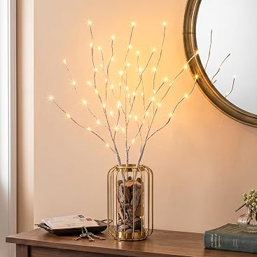 EAMBRITE Pre Lit White Birch Twig Branch Lights 30IN 60LT Plug in Lighted Willow Branch for Home Holiday Party Wedding Spring Decoration Indoor and Outdoor Use (Vase Excluded)