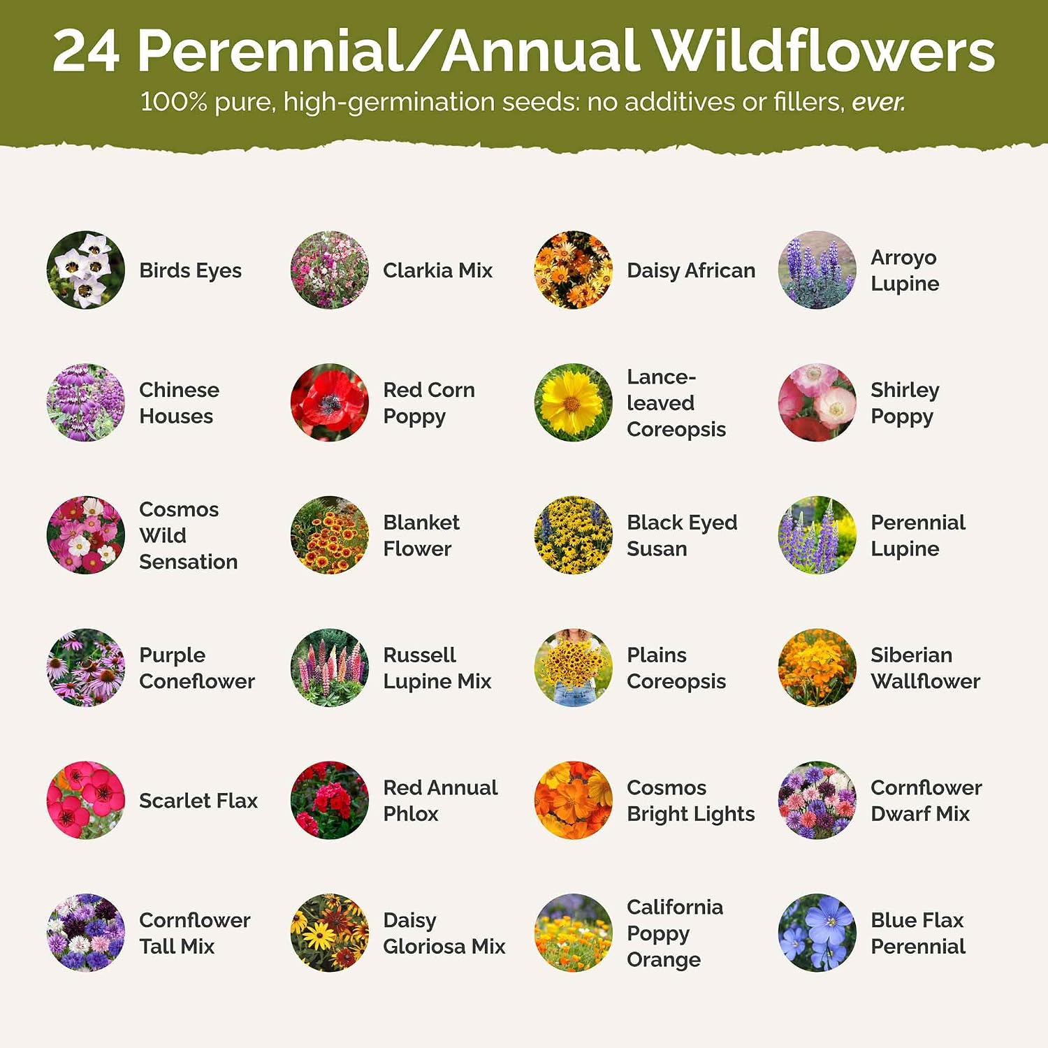 Eden Brothers Southwest Wildflower Mixed Seeds for Planting, 50 lb, 24,000,000+ Seeds with Cornflower, Blanket Flower