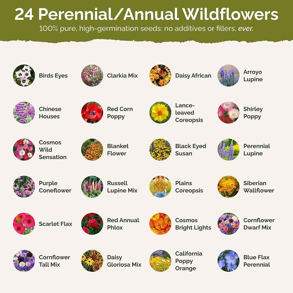 Eden Brothers Southwest Wildflower Mixed Seeds for Planting, 25 lb, 12,000,000+ Seeds with Cornflower, Blanket Flower