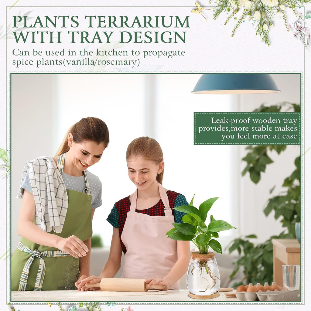 Nuanchu 4 Pcs Desktop Plant Terrarium Plant Propagation Vase Propagation Jars Glass Containers Air Planter Water