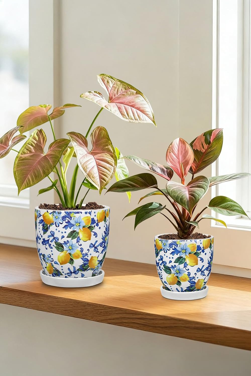 5.3+4.3 inch Ceramic Plant Pots, Set of 2 Blue and White Plant Pot with Drainage Holes and Saucers Small Lemon Indoor