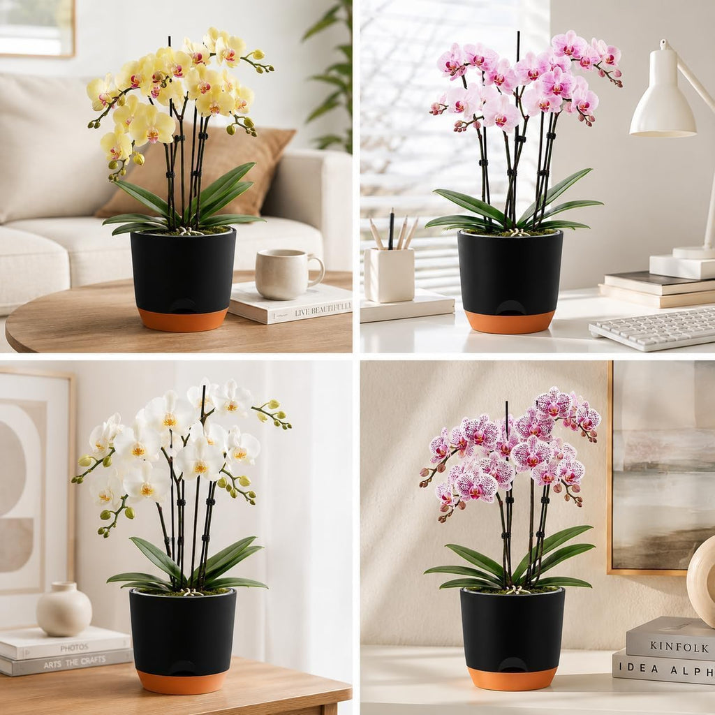 QCQHDU 5.7Inch Orchid Pots with Holes for Repotting, Double-Layer Plastic Self Watering Flower Pots for Indoor Plants