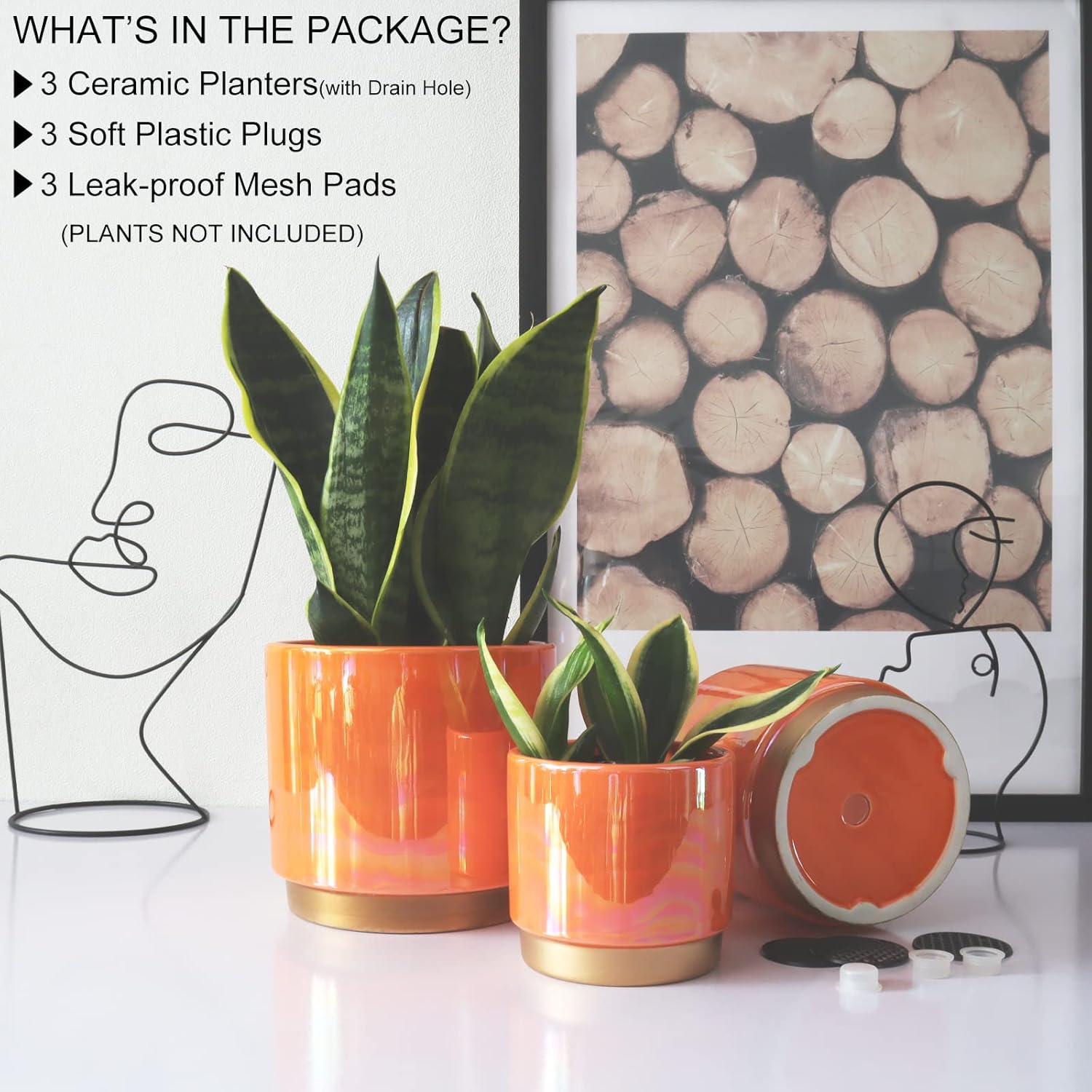 Gepege Ceramic Plant Pots for Indoor Plants, Planters with Drainage Holes | Ceramic Pots with Removable Rubber
