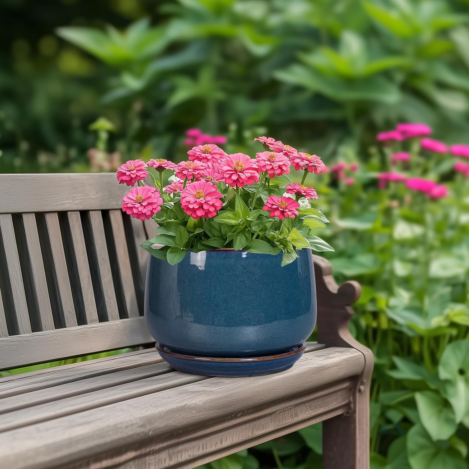 G EPGardening Ceramic Pot for Plants - Modern 7 Inch Round Planter with Drainage and Tray Indoor Outdoor for Flower