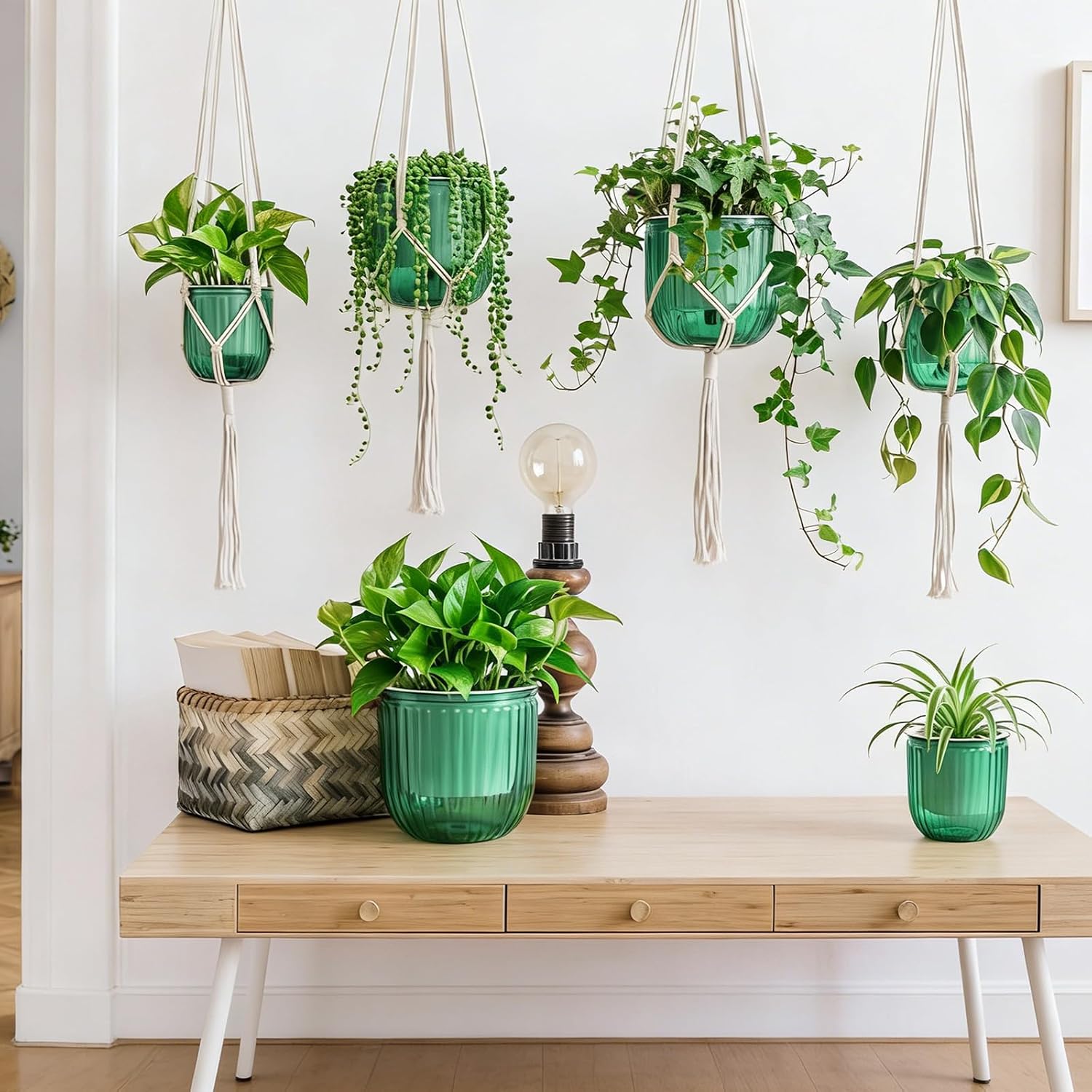 Hanging Planter Set of 6 Self Watering Indoor Flower Pots with Water Level Indicator Modern Plant Hangers for Indoor