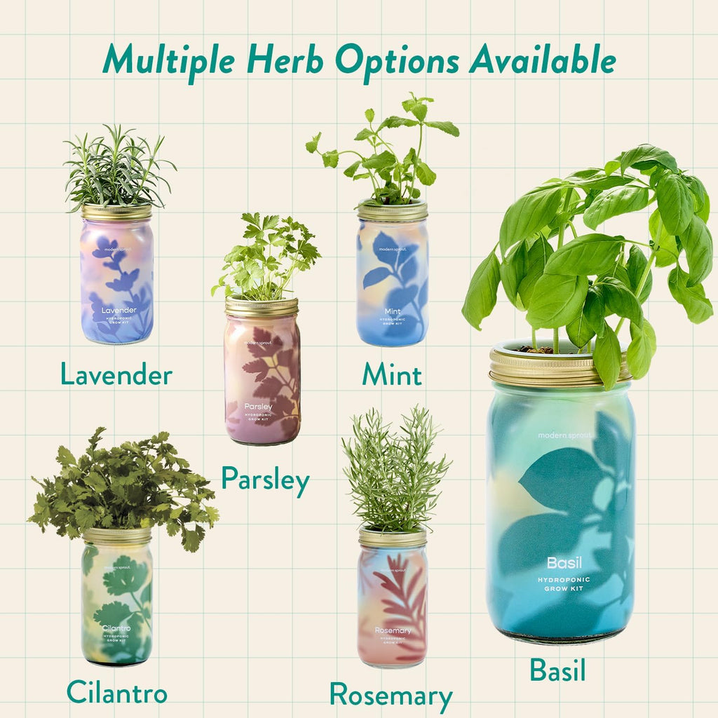 Modern Sprout Mason Jar+Replant Kit- Self-Watering Hydroponics System-Basil | Growing System Kit w/Organic Herb Seeds