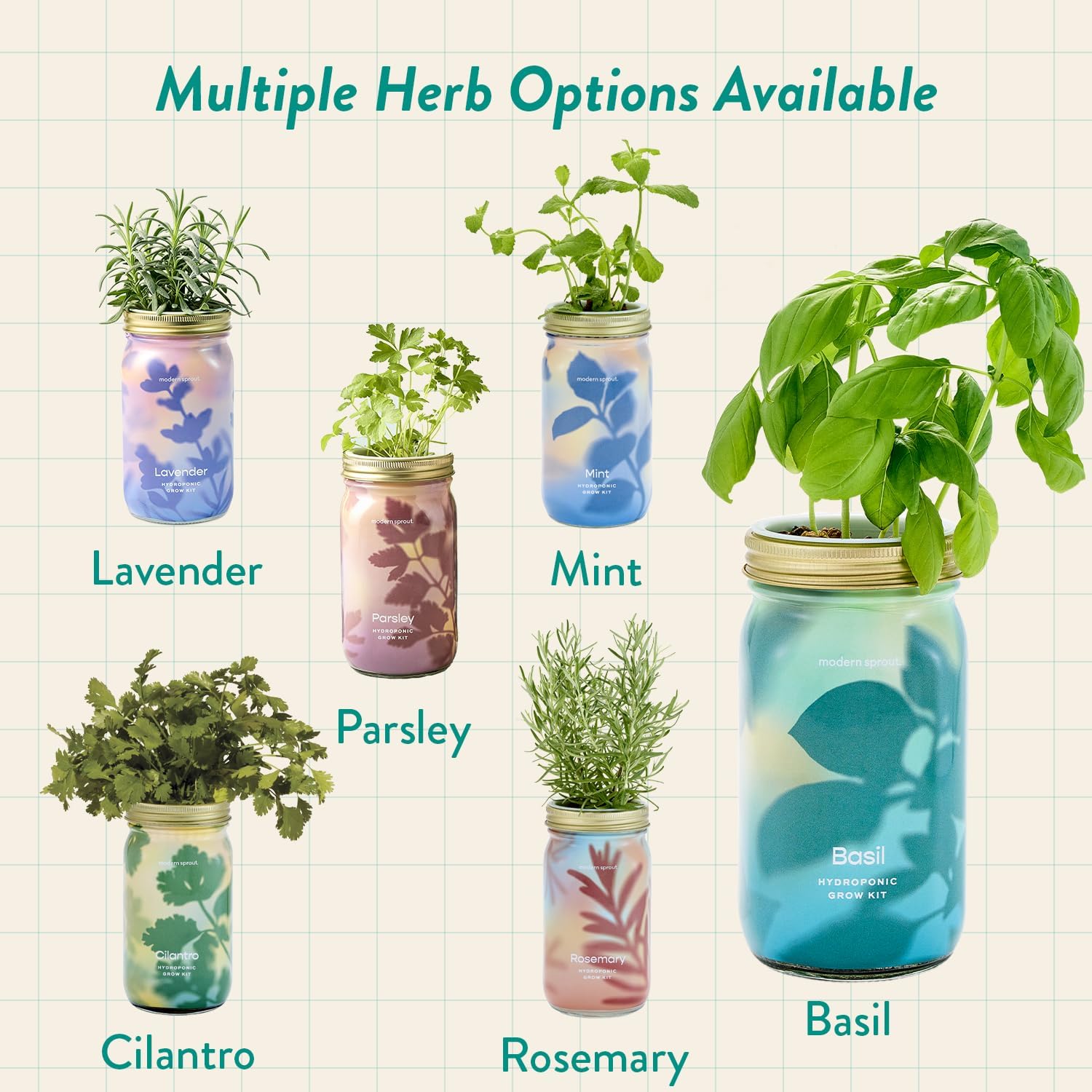 Modern Sprout Mason Jar+Replant Kit- Self-Watering Hydroponics System-Basil | Growing System Kit w/Organic Herb Seeds