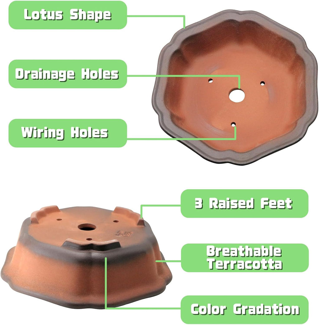 MUZHI 7.5” Unglazed Flower Shape Clay Bonsai Pot with Ceramic Saucer, Color Gradational Shallow Terracotta Planter for