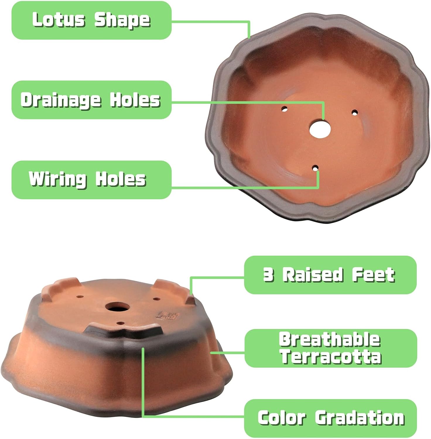 MUZHI 7.5” Unglazed Flower Shape Clay Bonsai Pot with Ceramic Saucer, Color Gradational Shallow Terracotta Planter for