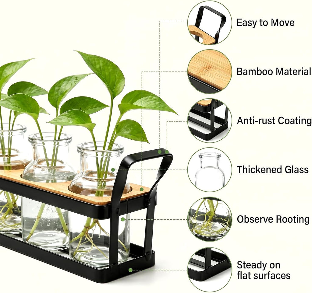 Salzesfalls Propagation Stations with Metal Stand, Tabletop Plant Terrarium | Plant Propagation Station & Vases,Table