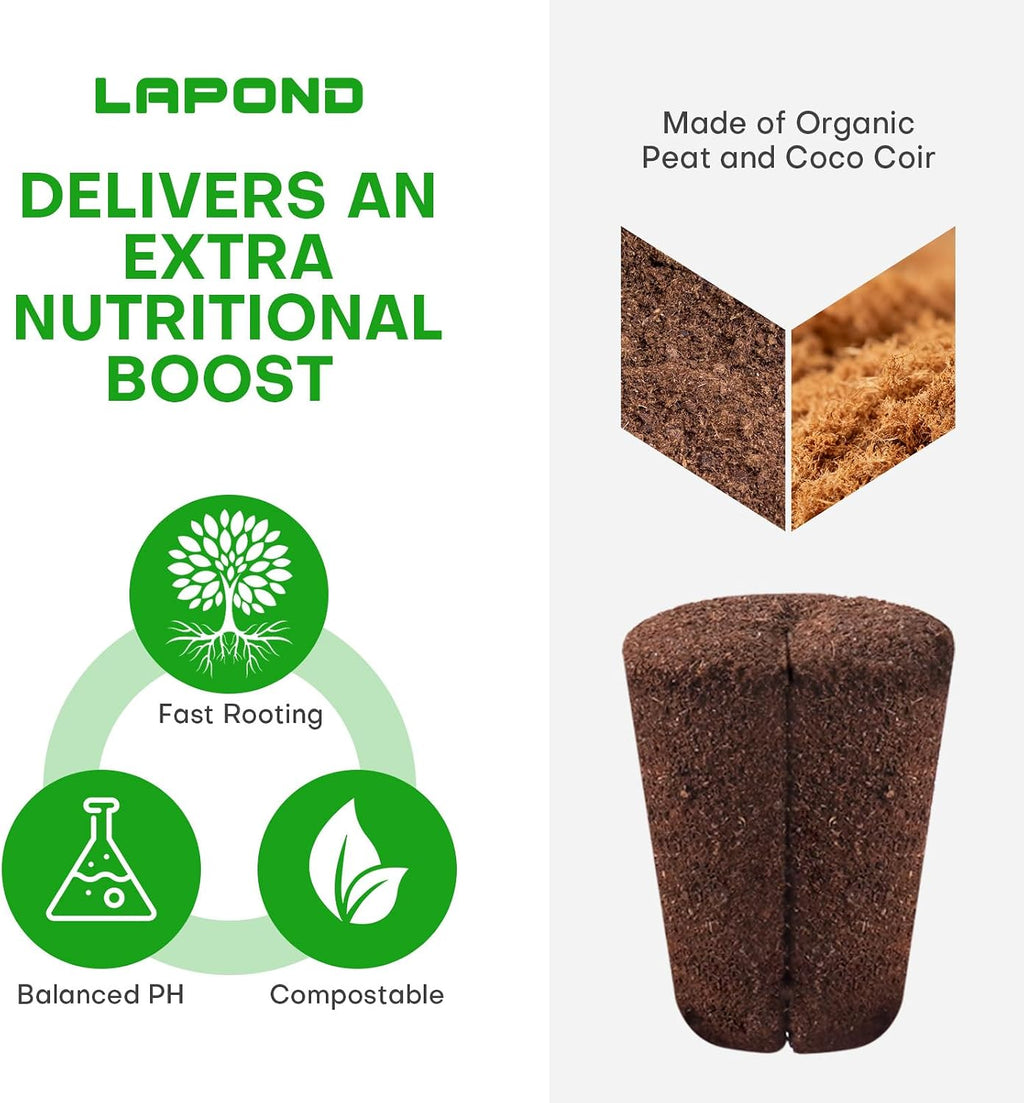 40 Pcs Grow Sponges with Tray, Plant Starter Plugs for Cuttings, Great for Soil, Tray or Planting Pods Plant Rooter