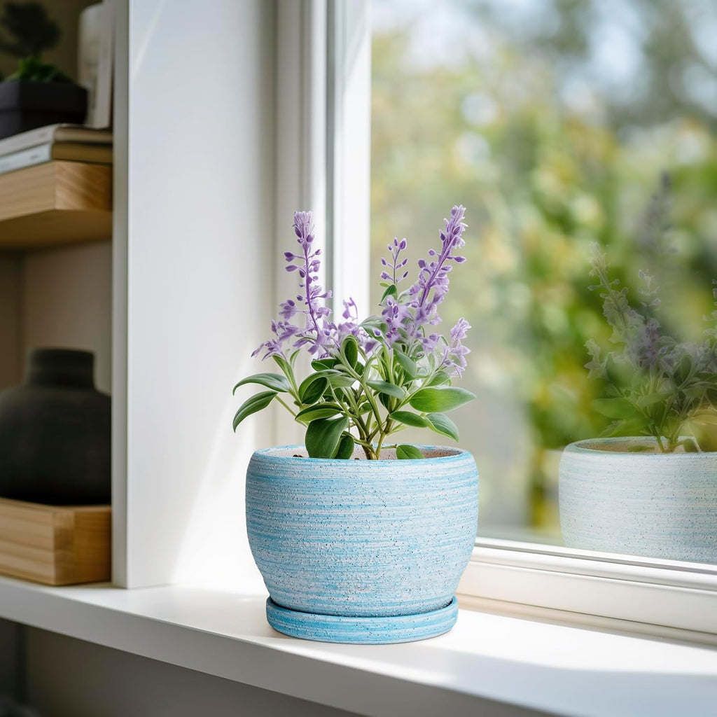 SQOWL Ceramic Planters for Indoor Plants - 6 Inch Plant Pot Indoor Outdoor, Decorative Flower Pot with Drainage Hole