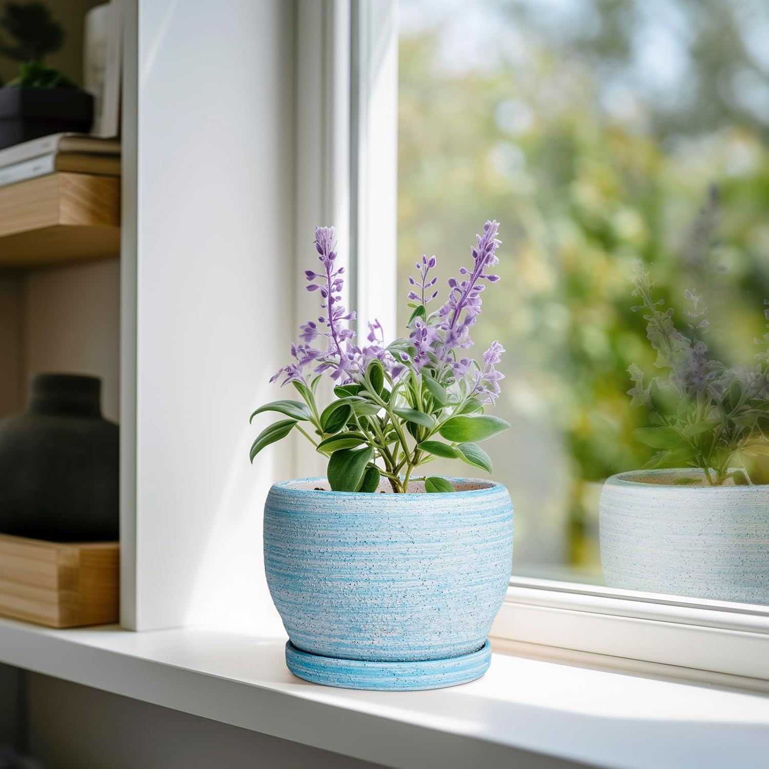 SQOWL Ceramic Planters for Indoor Plants - 6 Inch Plant Pot Indoor Outdoor, Decorative Flower Pot with Drainage Hole