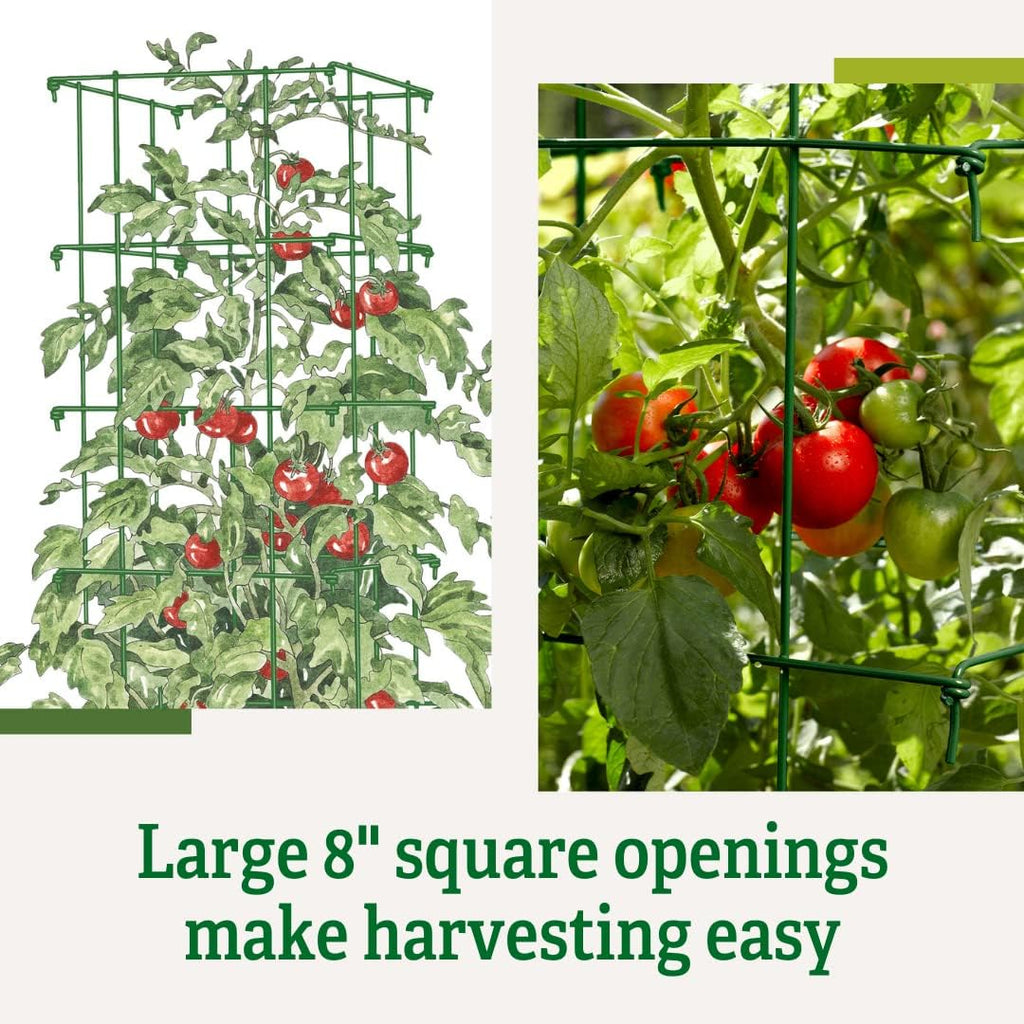 Gardener's Supply Company Lifetime Tomato Cages, Green, Set of 4