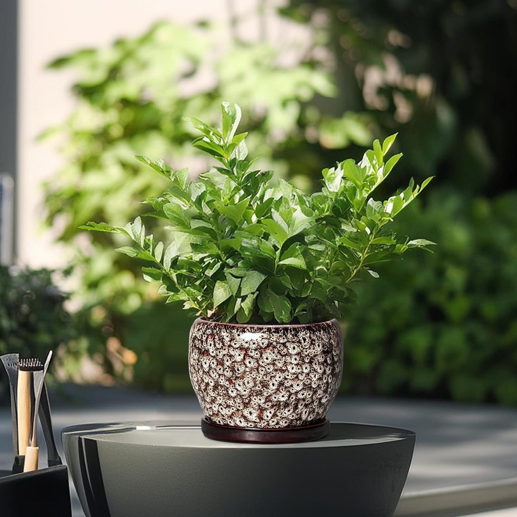 SQOWL Ceramic Plant Pots - 6 Inch Ceramic Planter for Indoor Outdoor, Small Flower Pots with Drainage Hole and Saucer