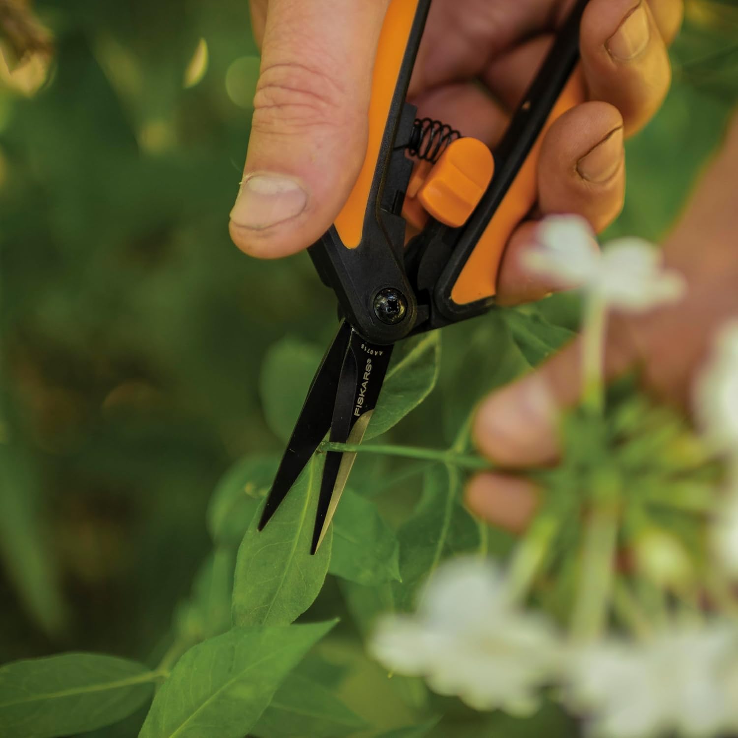 Fiskars 6" Non-Stick Pruning Snips, Resin-Resistant Garden Scissors, 2-Pack | Garden Shears for Weeds, Flower Buds &