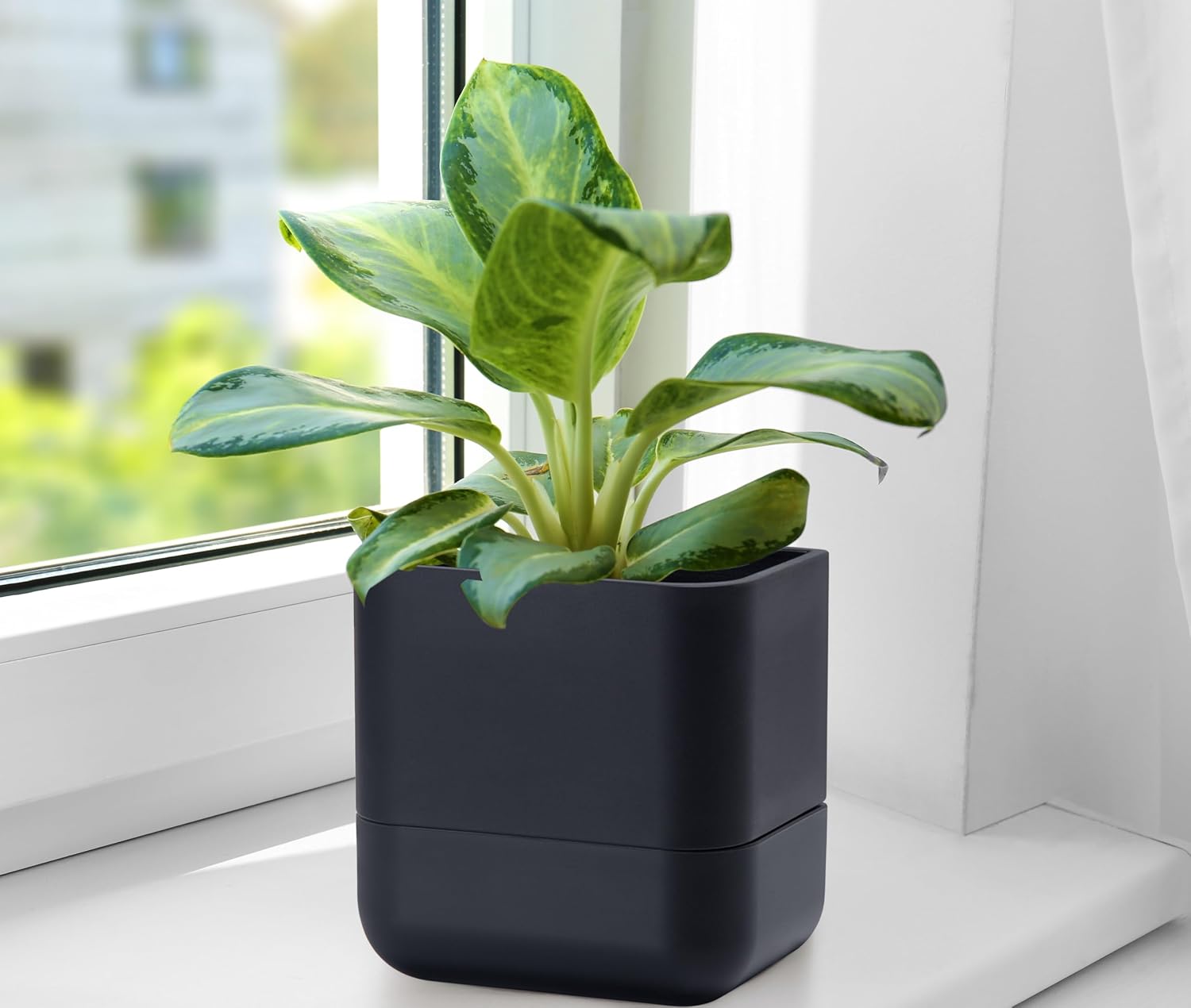 Phoenix Vine 6.5 Inch Wall Mounted Self-Watering Planter Pot for Indoor Houseplants and Herbs | Hanging Planter for
