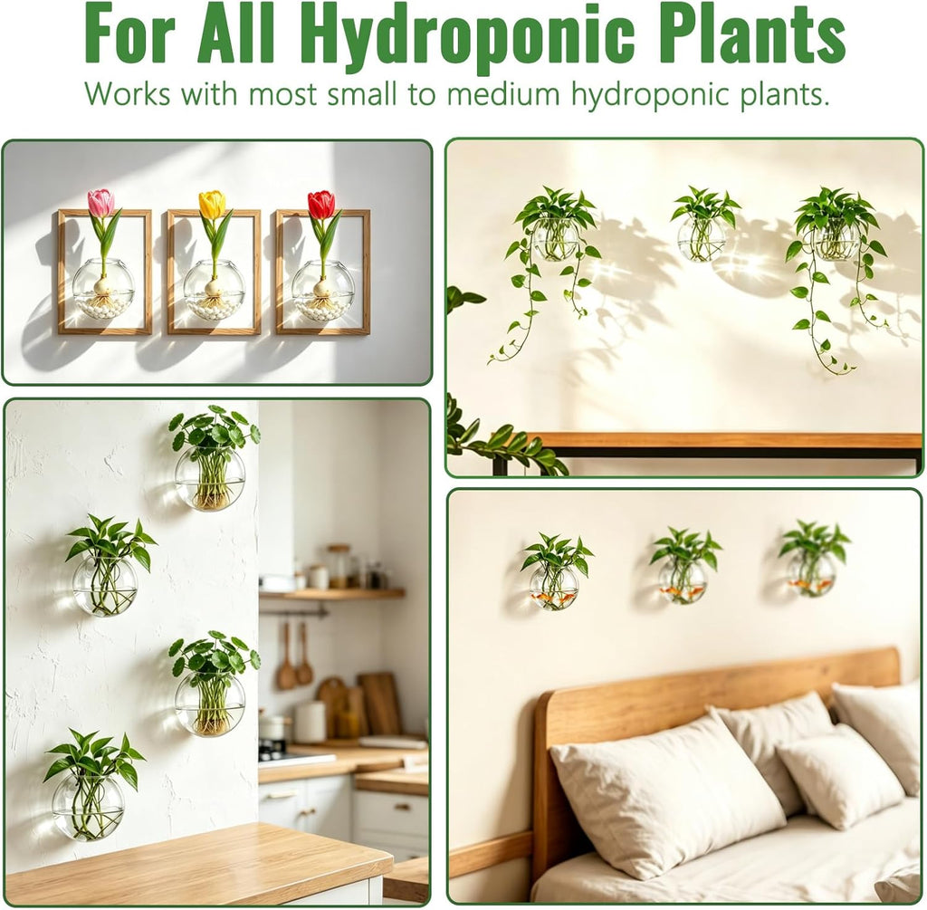 NUPTIO Glass Wall Hanging Planters: Propagation Station for Plants, 4 Pcs | Wall Mount Clear Vase, Terrarium for