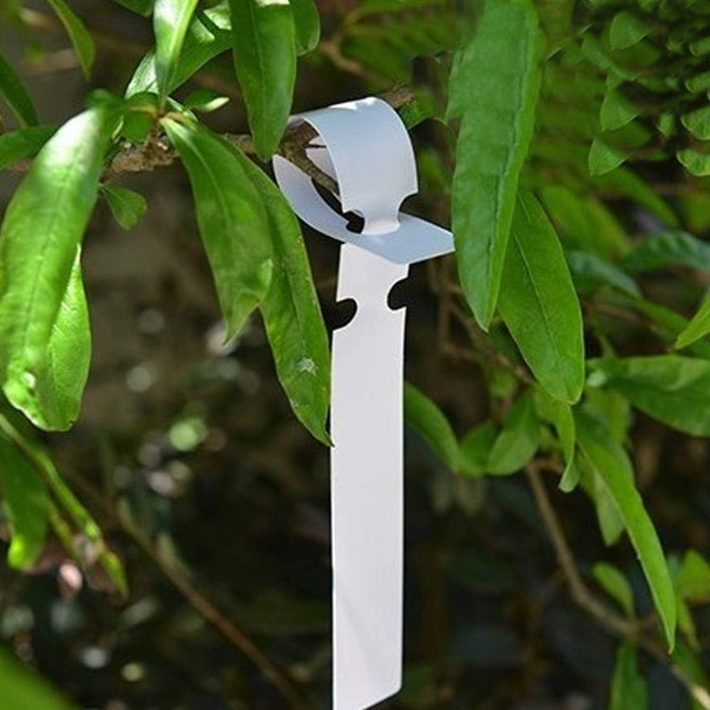 Acrux7 1000Pcs 8 Inch Wrap Around Plant Tags, White Waterproof Hanging Tree Tag Garden Labels, Plastic Plant Labels