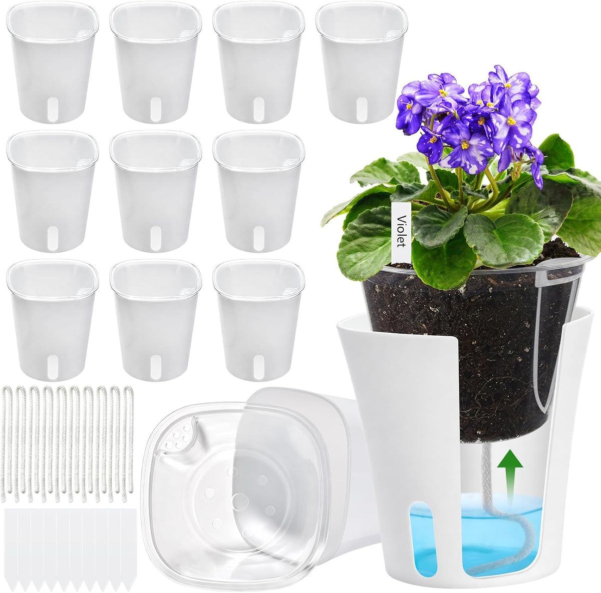 D'vine Dev 6-Pack Acrylic Herb Planter Pots, 4 in, Clear, 76-Y-D-1