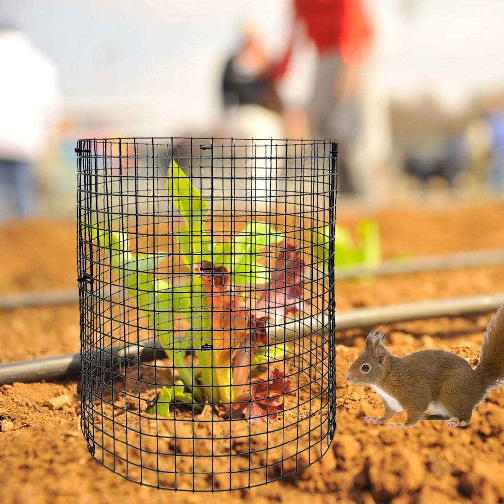 30Pcs Round Plant Protector from Animals, 10 Pack 12'' x 12'' Reusable Metal Plant Cages, Wire Mesh Garden Cloches to