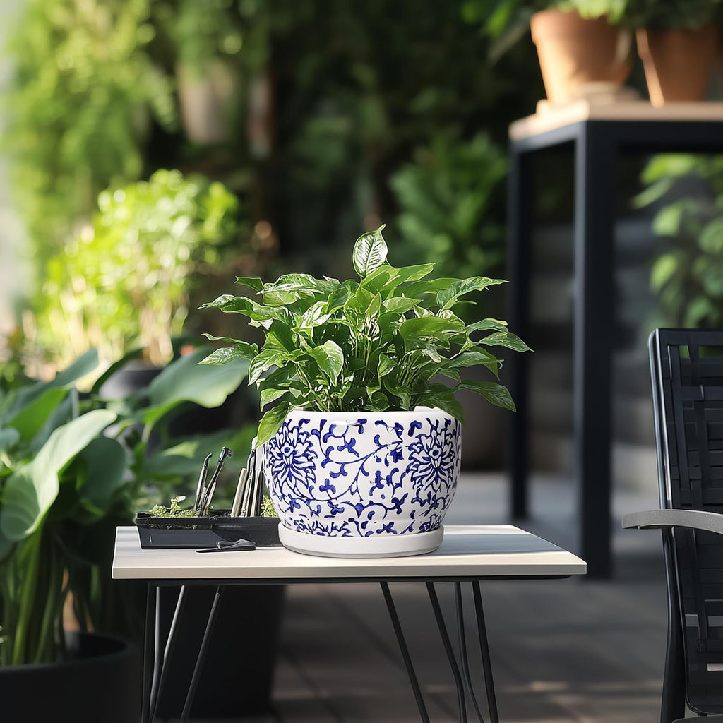 SQOWL Ceramic Pots for Plants - 8 inch Ceramic Planter with Drainage Hole and Saucer, Round Flower Pots for Indoor