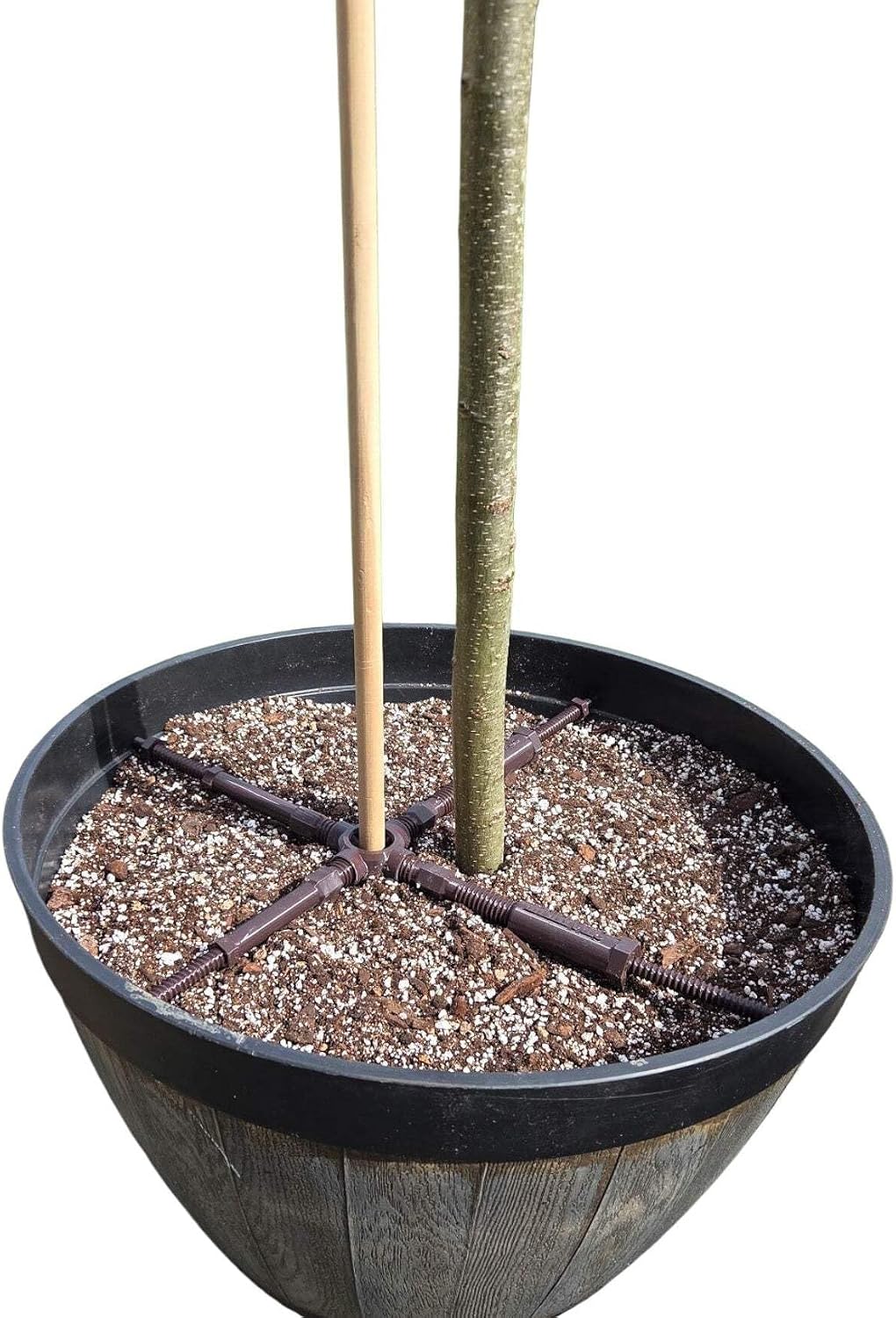 Adjustable Plant Stake Support Holder Brace for Potted Plants (XL). Adjusts from 16" to 26". Fits Stakes up to 1.25" in