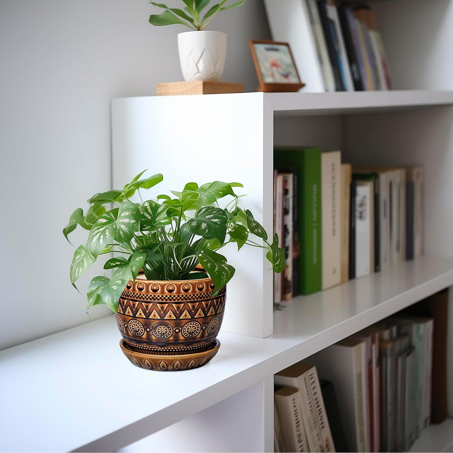 G EPGardening Ceramic Pot for Plants 5.5 Inch - Ceramic Plant Pot with Drainage Hole and Saucer, Boho Round Planter for