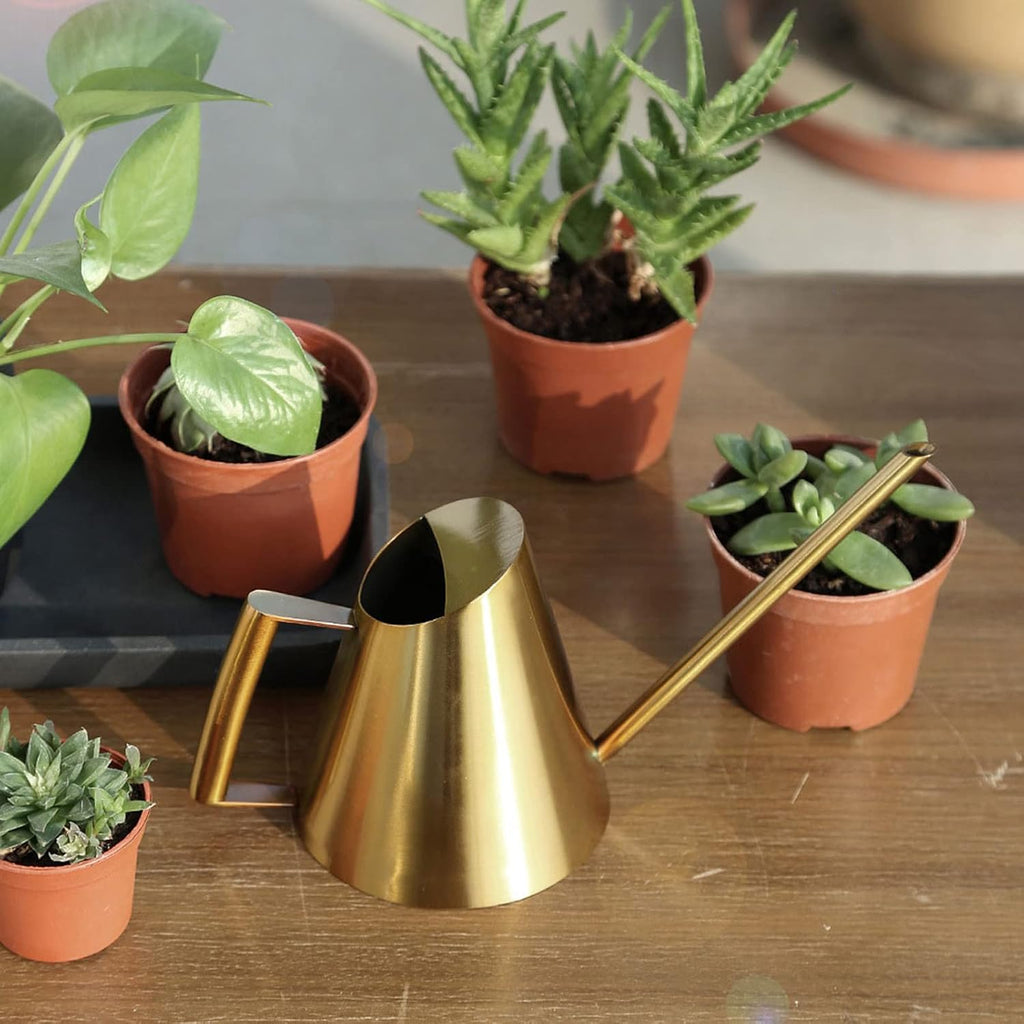 Gold Watering Can 1500ml Stainless Steel Cans Indoor Plants | Long Spout Water Can for Potted Plants, Hanging Plants