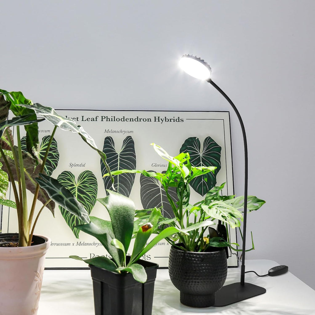 Desktop Plant Grow Light,12w Growing Lamps High Ppfd,Full Spectrum Desk Growth Light with Automatic Timer,4 Dimmable