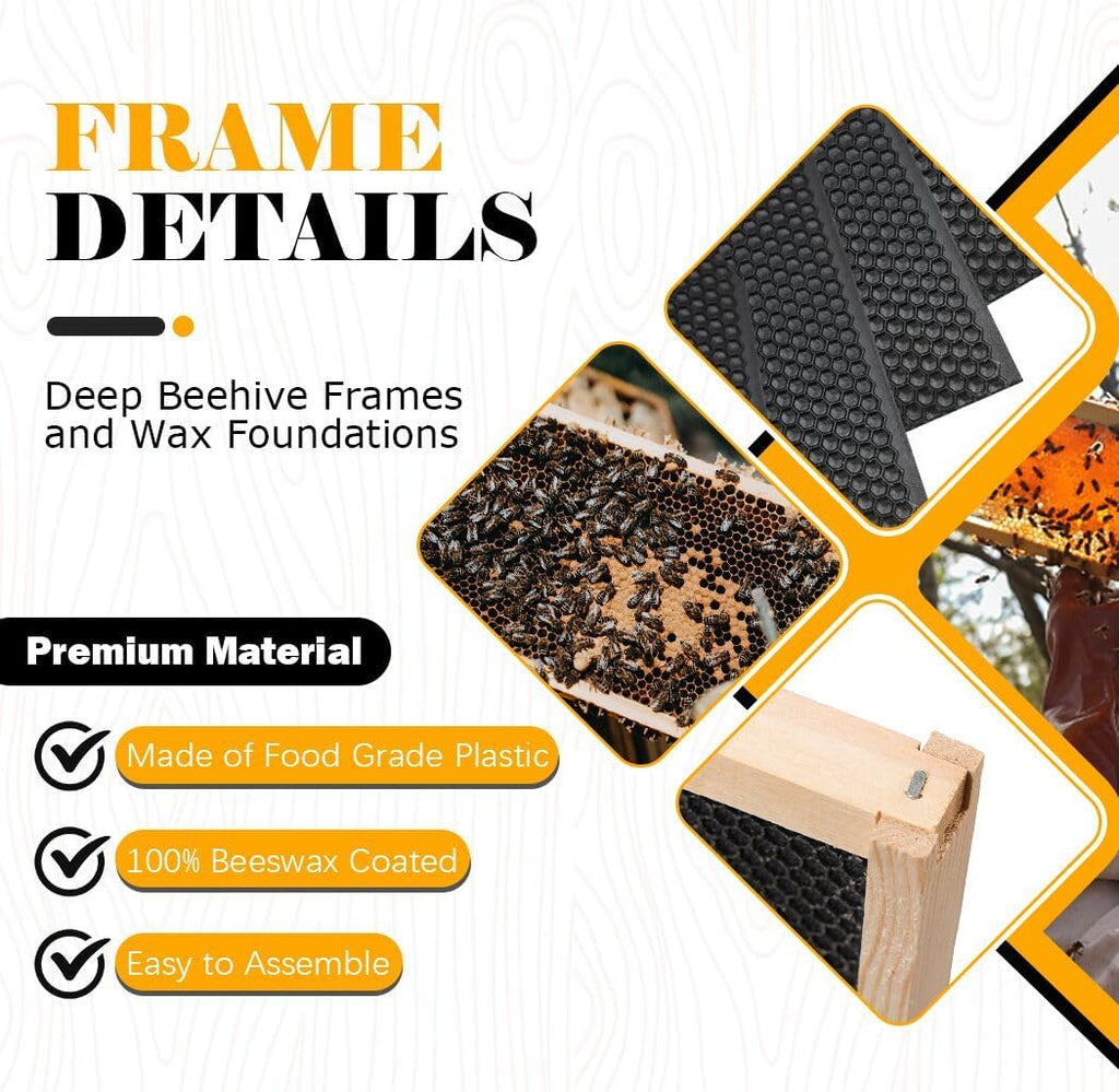 BeeCastle 10 Pack Beehive Frames and Wax Foundations for Deep Brood Bee Hives with Wooden Bee Hive Frames and 100%