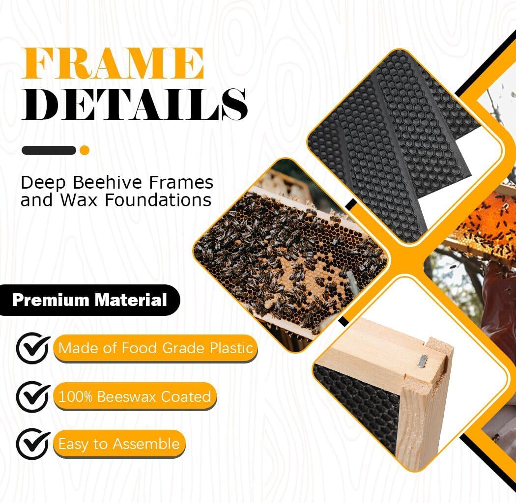 BeeCastle 10 Pack Beehive Frames and Wax Foundations for Deep Brood Bee Hives with Wooden Bee Hive Frames and 100%