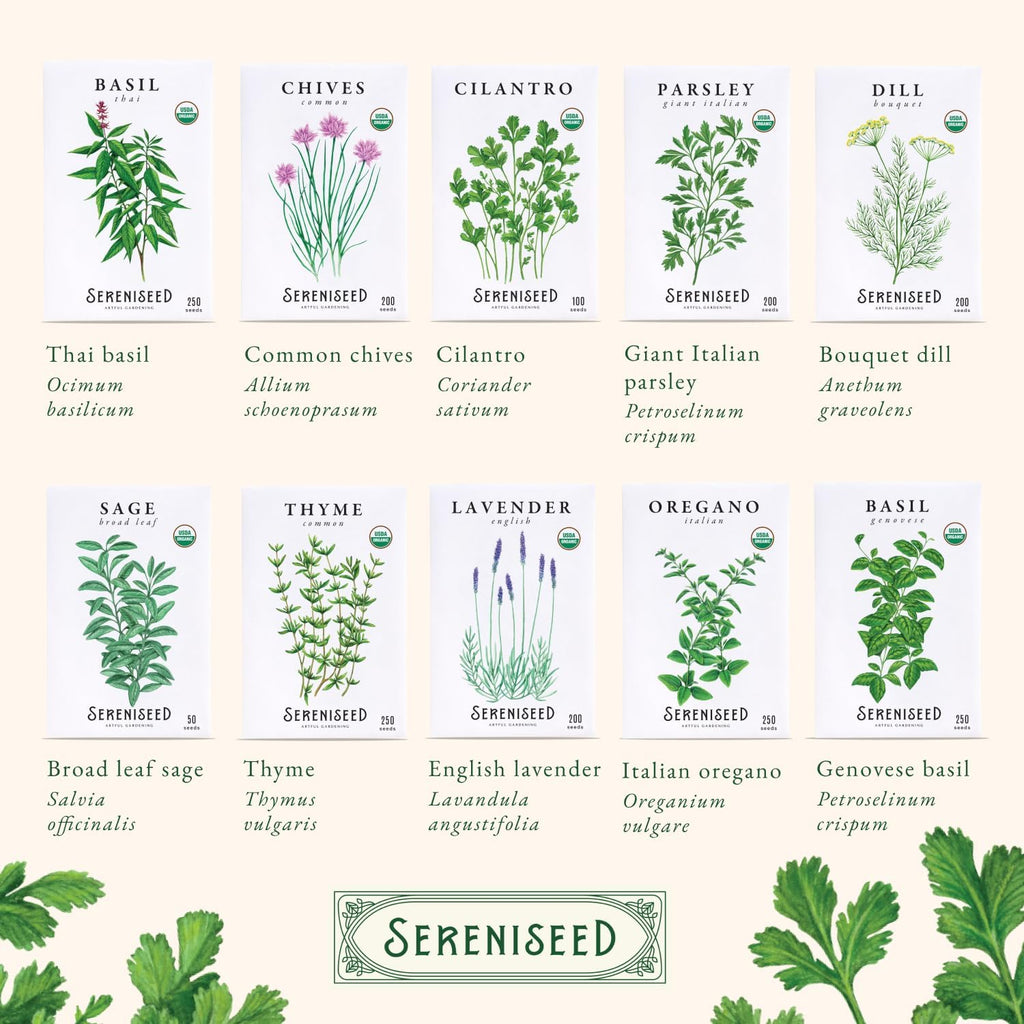 Sereniseed Certified Organic Herb Seeds 35-Pack | Non-GMO Heirloom Variety for Indoor Outdoor Culinary Gardening Gift